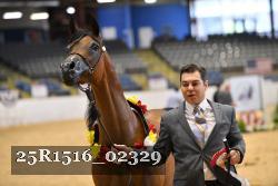 25R1516_02329 thumbnail