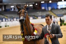25R1516_02330 thumbnail
