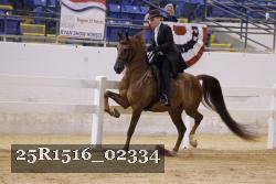 25R1516_02334 thumbnail