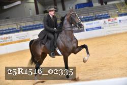 25R1516_02335 thumbnail