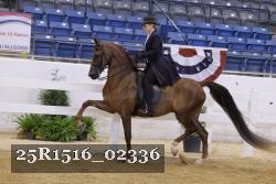 25R1516_02336 thumbnail