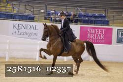 25R1516_02337 thumbnail