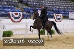 25R1516_02338 thumbnail