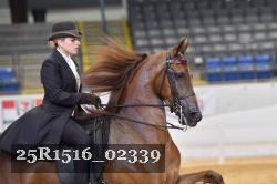 25R1516_02339 thumbnail