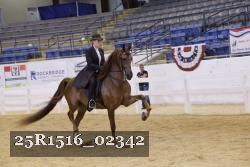 25R1516_02342 thumbnail