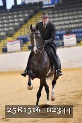 25R1516_02344 thumbnail