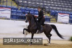 25R1516_02347 thumbnail