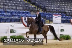 25R1516_02348 thumbnail