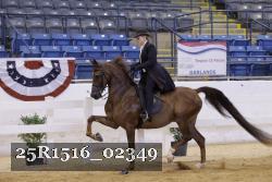 25R1516_02349 thumbnail