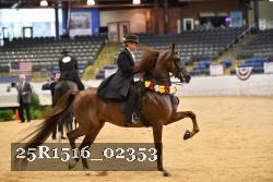 25R1516_02353 thumbnail