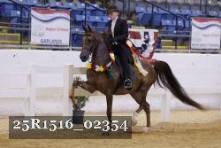 25R1516_02354 thumbnail