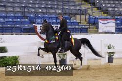 25R1516_02360 thumbnail