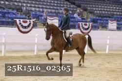 25R1516_02365 thumbnail