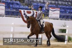 25R1516_02371 thumbnail