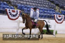25R1516_02384 thumbnail