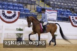 25R1516_02385 thumbnail