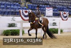 25R1516_02386 thumbnail