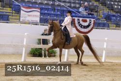 25R1516_02414 thumbnail