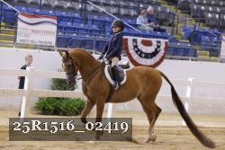 25R1516_02419 thumbnail