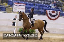 25R1516_02422 thumbnail