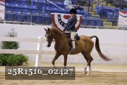 25R1516_02427 thumbnail