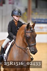 25R1516_02433 thumbnail