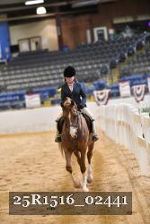 25R1516_02441 thumbnail