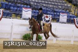 25R1516_02456 thumbnail