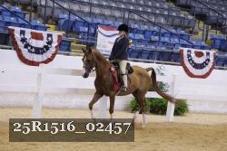25R1516_02457 thumbnail