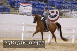 25R1516_02477 thumbnail
