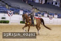 25R1516_02492 thumbnail