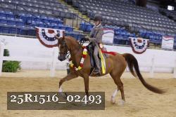25R1516_02493 thumbnail