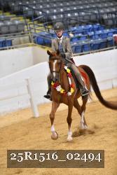 25R1516_02494 thumbnail