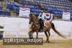 25R1516_02499 thumbnail