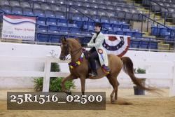 25R1516_02500 thumbnail