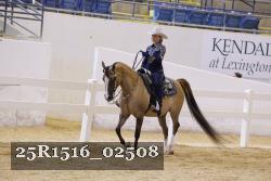 25R1516_02508 thumbnail