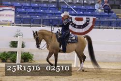 25R1516_02510 thumbnail