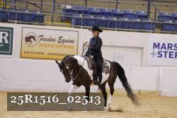 25R1516_02513 thumbnail