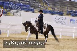 25R1516_02515 thumbnail