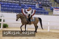 25R1516_02520 thumbnail