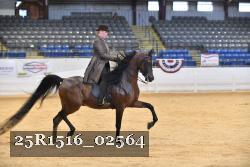 25R1516_02564 thumbnail