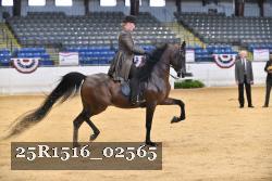 25R1516_02565 thumbnail
