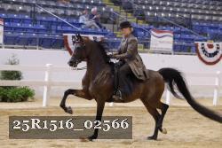 25R1516_02566 thumbnail
