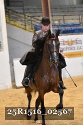 25R1516_02567 thumbnail