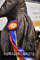 25R1516_02575 thumbnail