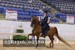 25R1516_02580 thumbnail
