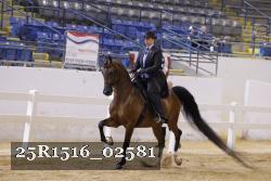 25R1516_02581 thumbnail