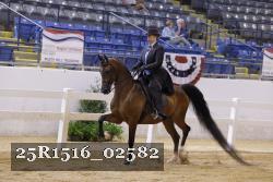25R1516_02582 thumbnail