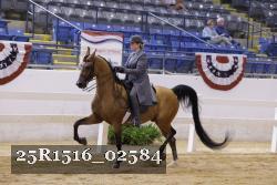 25R1516_02584 thumbnail