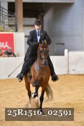 25R1516_02591 thumbnail